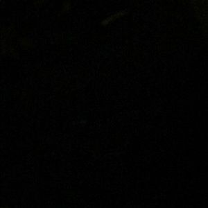 Meet your Posher, Paulina